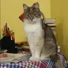 Отзыв от Маргарита Дьякова